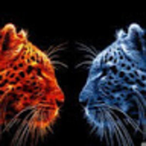 Meet your Posher, Mason